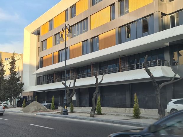 Bakıda ağac və kollar niyə məhv edilib? - AÇIQLAMA + FOTO