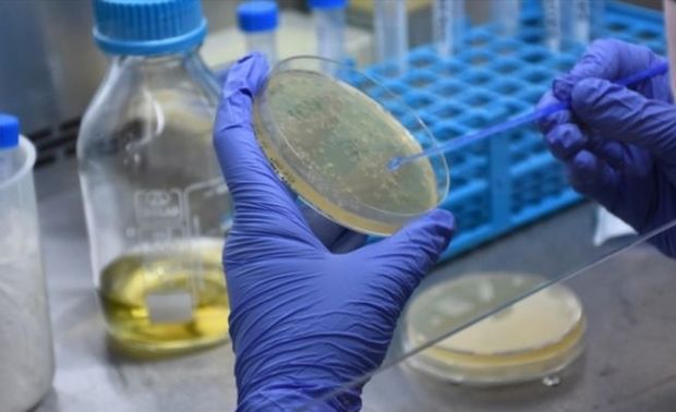 Число инфицированных коронавирусом в мире превысило 95 млн