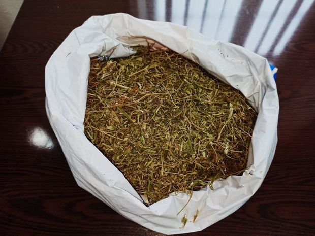 Qazax sakinindən narkotik və silah götürüldü - FOTO