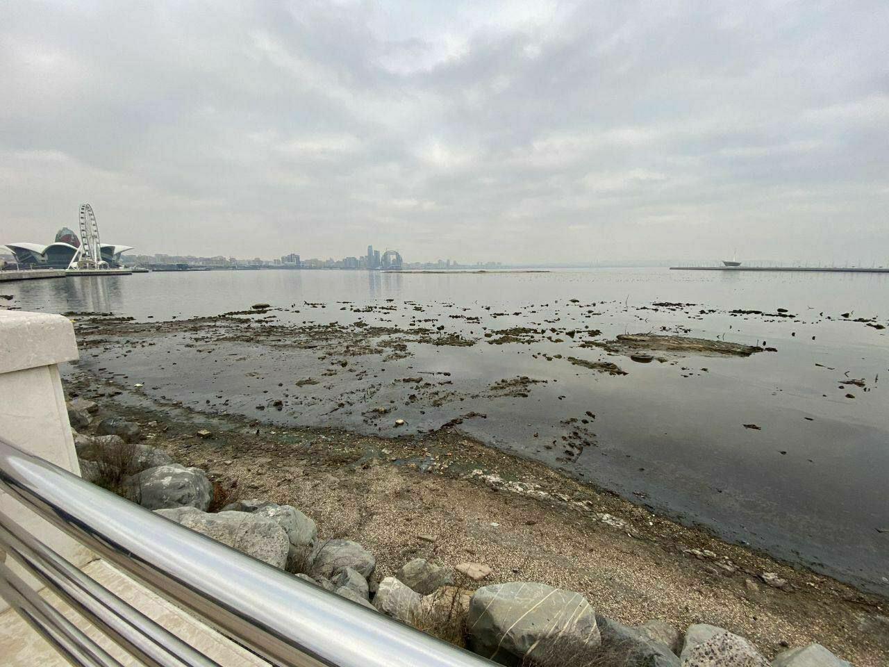 Xəzərin səviyyəsinin azalmasına səbəb olan amillər açıqlandı