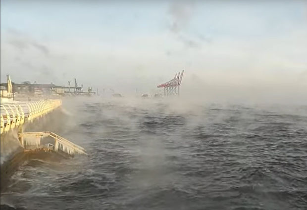 Sakinlər heyrətə düşdü: Qara dəniz “qaynadı” - VİDEO