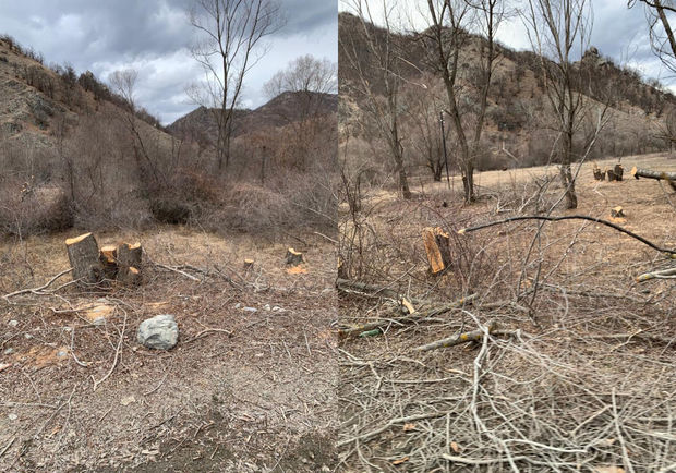 Nazir müavini: “Kəlbəcərdə ermənilərin törətdiyi ekoloji terror ürəkağrıdıcıdır” - FOTO/VİDEO