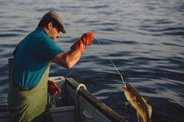 Qanunsuz ov edən və ov məhsullarını satan şəxslər cəzalandırıldı