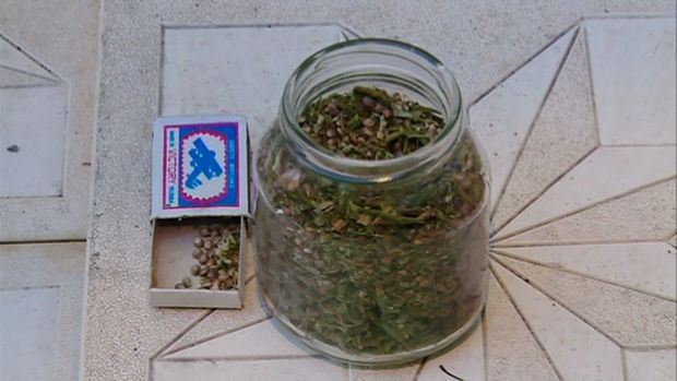 В Гяндже у наркоторговца по прозвищу 