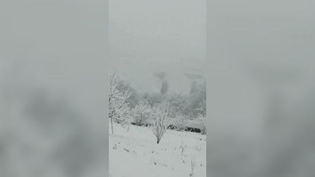 Qar Laçını bəyaza bürüdü - VİDEO