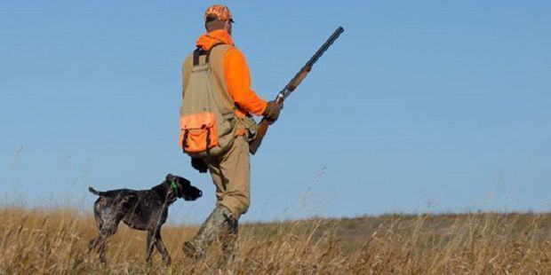 В Азербайджане принято решение об открытии сезона охоты