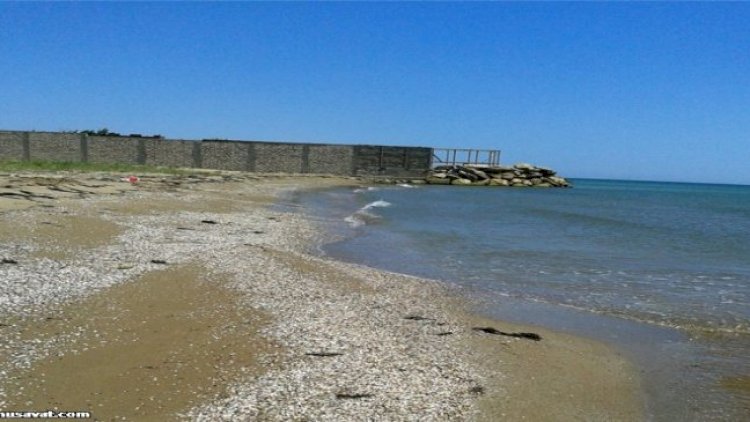 Xəzərin səviyyəsi 18 metr aşağı düşəcək? – Rəsmi açıqlama