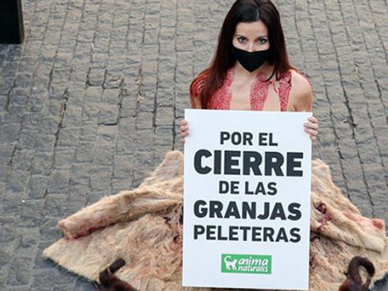 Qız küçədə lüt soyunub, etiraz etdi - FOTO