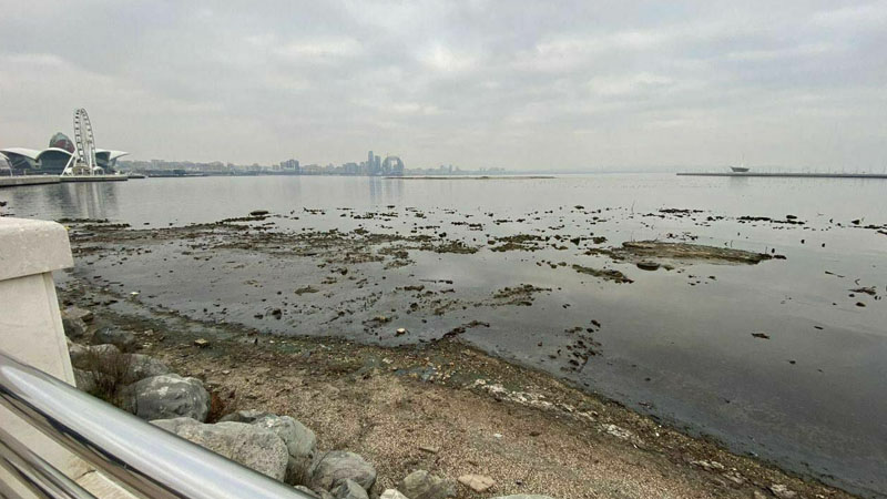 Xəzər dənizinin suyu sürətlə azalır - Səbəb?