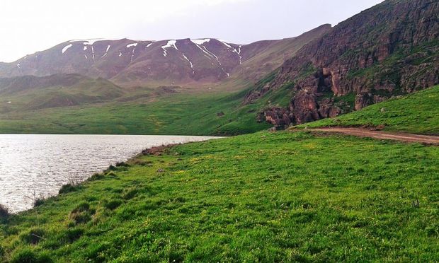 Neçə hektar örüş sahəsi bələdiyyə mülkiyyətinə qaytarılıb?