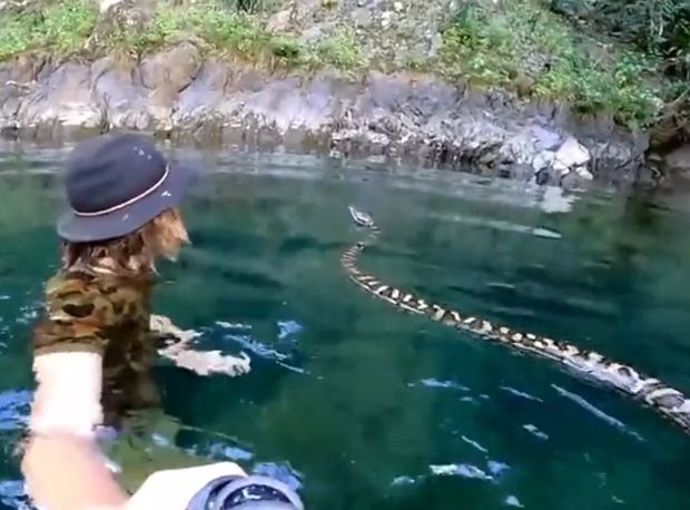 Gənc oğlan üç metrlik ilanla birlikdə çayda üzdü - VİDEO