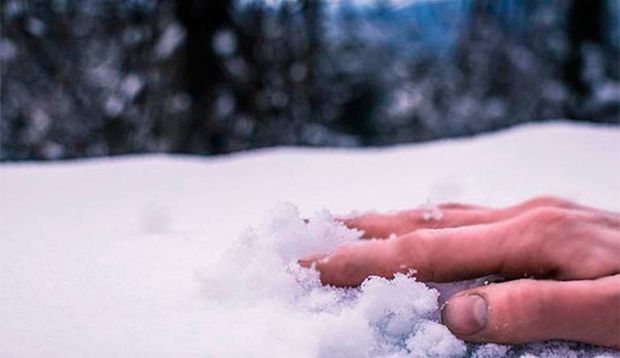 В России мужчина замерз насмерть, пока полицейские мешали волонтеру искать его