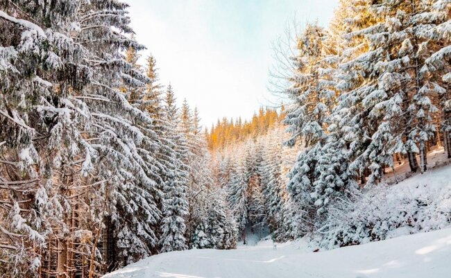 Rayonlara qar yağacaq