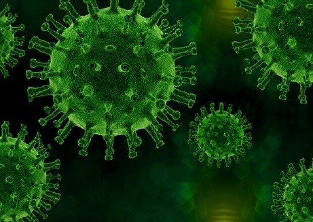 ÜST-dən daha bir pandemiya barədə XƏBƏRDARLIQ