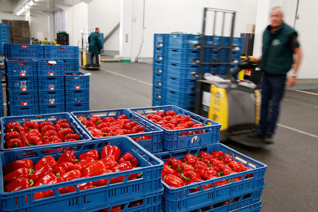 Основные направления в географии азербайджанского экспорта займут Турция и Пакистан