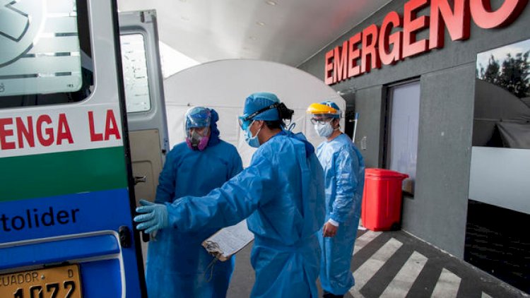 Həkimlər minlərlə pasiyentə saxta peyvənd vurublar