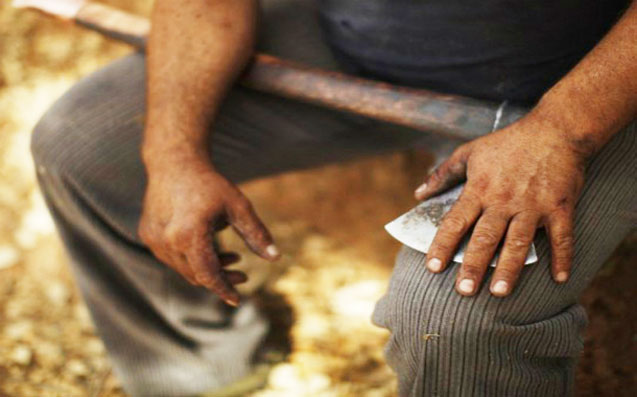 Bakıda qayınatanın gəlinini öldürərək doğramasının - Təfərrüatı