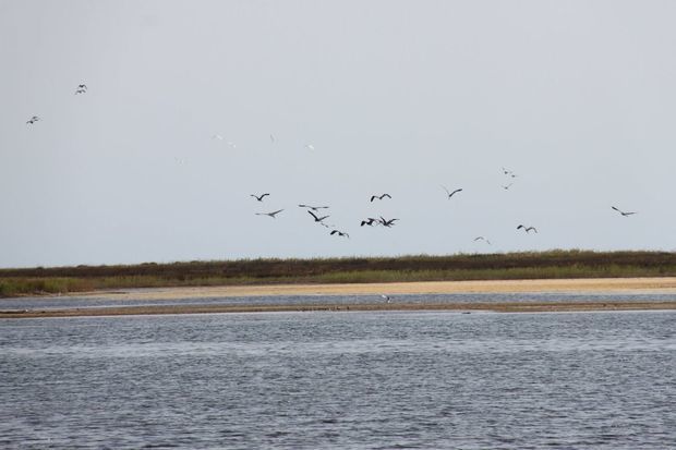 Завтра вход в национальные парки будет бесплатным - ФОТО