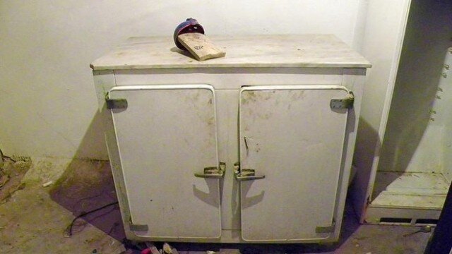 Anasını öldürüb, 10 il soyuducuda saxladı