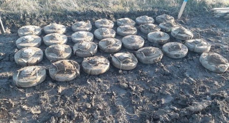 Füzulidə düşmənin basdırdığı minalar aşkarlandı - FOTO