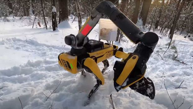 Робопес Boston Dynamics научился убираться и сажать цветы - ВИДЕО