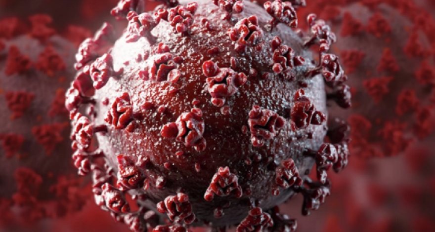 Исследователи не нашли различий в формировании антител к коронавирусу у мужчин и женщин