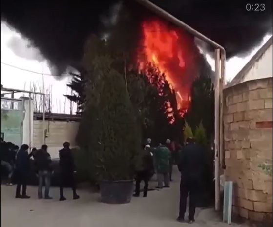 SON DƏQIQƏ!Bakıda satışda olan 108 ədəd ağac yanıb - VİDEO