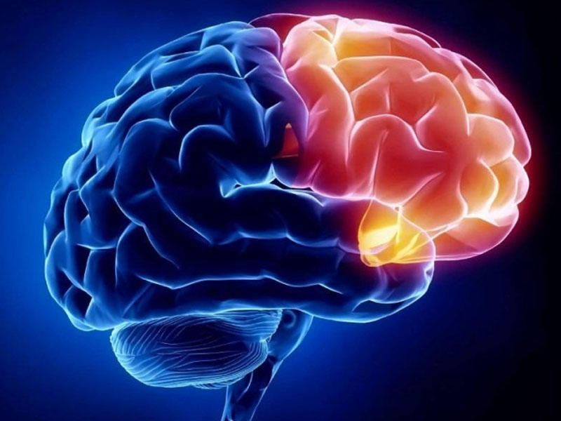 DİQQƏT! Beyini aktivləşdirməyin ən yaxşı yolu açıqlanıb