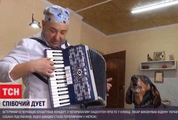 İtlə birgə mahnı oxuyan baytar həkim sosial şəbəkələrin ulduzuna çevrildi - VİDEO