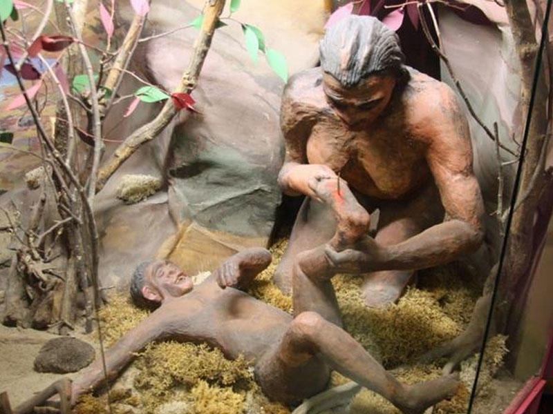 Adəm və Həvva təkzib olunur - MARAQLI FAKTLAR - İnsan nə vaxt və necə yaranıb?