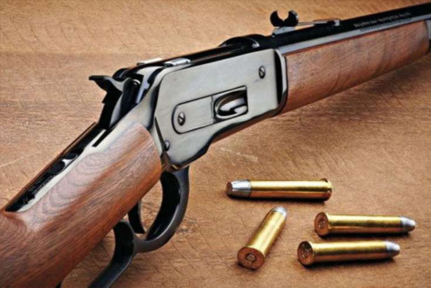 İsmayıllı sakinindən narkotik vasitə və odlu silah götürüldü