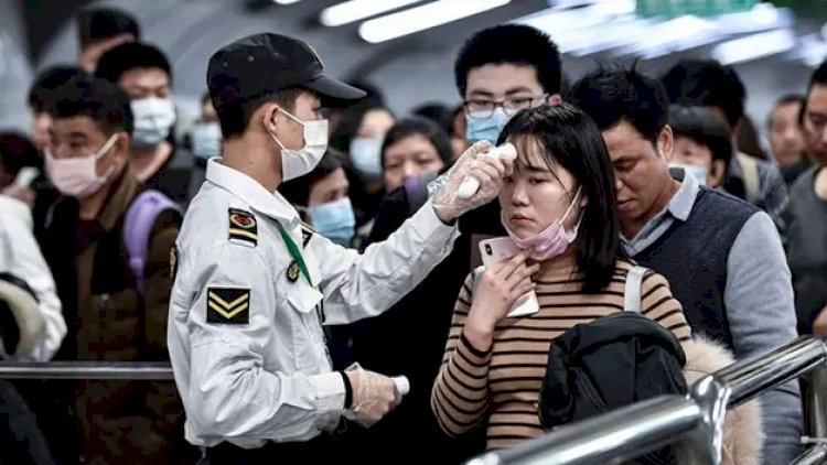 “Koronavirusun Çində ortaya çıxmama ehtimalı var“ - ÜST rəsmisi