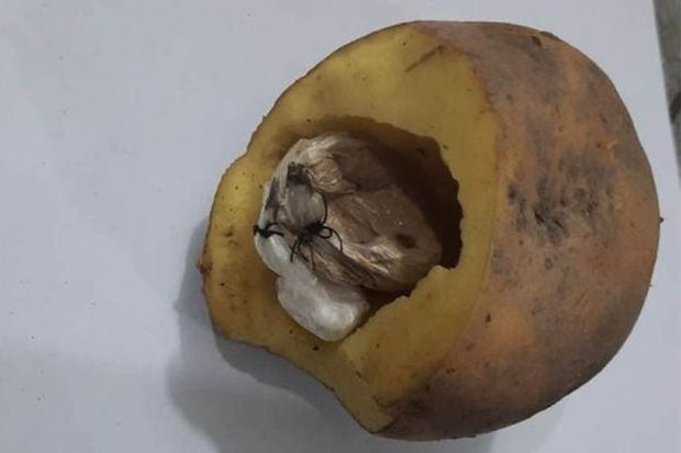 Həbsdə olan yeznəsinə narkotik aparan şəxs saxlanılıb