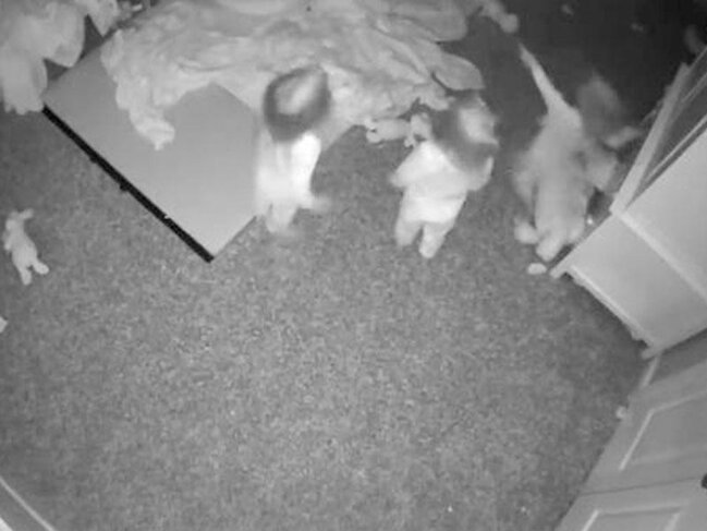 Uşaq otağındakı kameraya baxan valideynləri qorxuya salan anlar - VİDEO