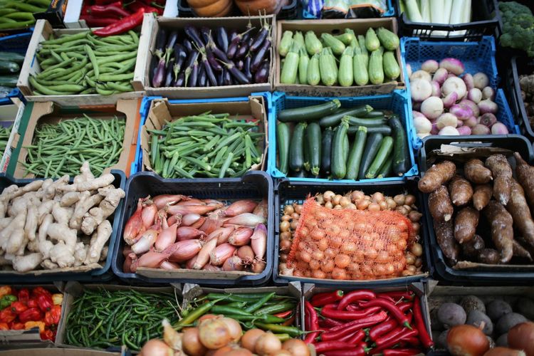 Azərbaycanda kənd təsərrüfatı məhsullarının istehsalı yanvarda 2,3% artıb