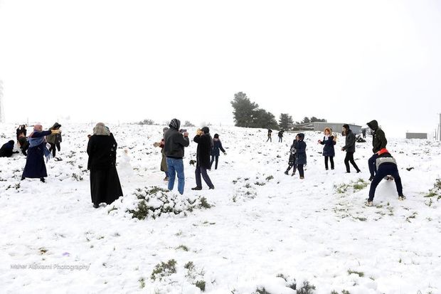 Afrikaya qar yağıb - FOTO/VİDEO