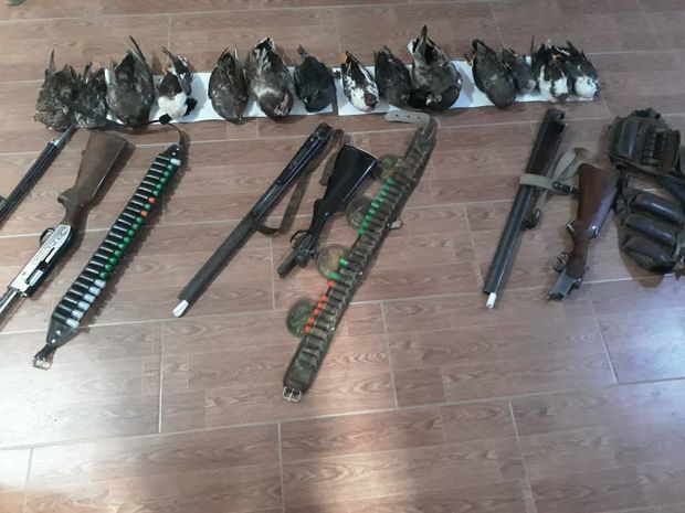 В Масаллы за незаконную охоту привлечена к ответственности группа лиц