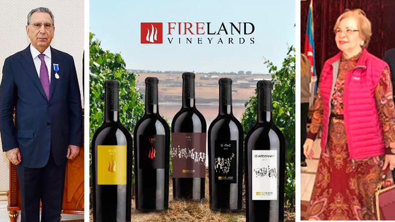 Ramiz Mehdiyevin həyat yoldaşı ilə bağlı məhkəmə prosesi keçirilib