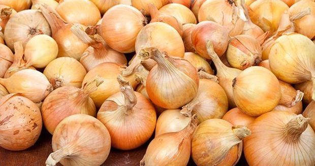 Крупная партия импортируемого в Азербайджан лука оказалась непригодной для употребления