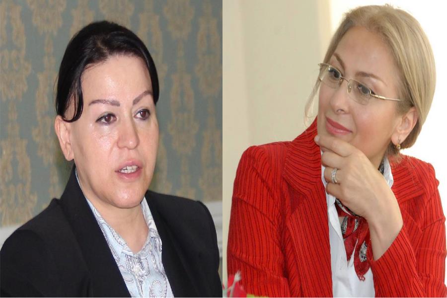 Abşeronda növbəti çalxalanma: Tanınmış QHT sədri İctimai Şuradan getdi