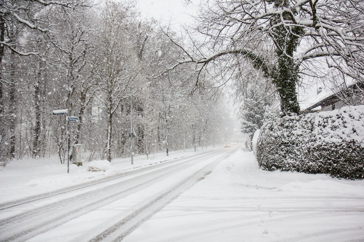 Güclü külək əsəcək, qar yağacaq - XƏBƏRDARLIQ