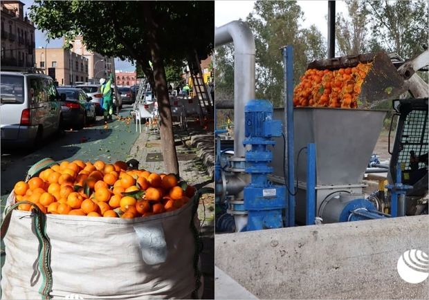İspaniyadan yenilik: Portağaldan elektrik enerjisi alınacaq - FOTO