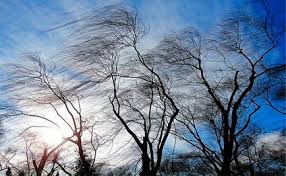 Sabah Bakıda güclü külək əsəcək