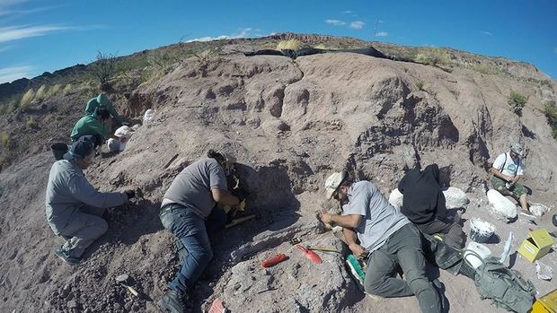 Dünyanın ən qədim titanozavrının qalıqları tapılıb