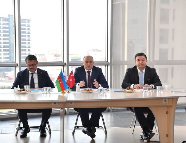 Anar Kərimov Türkiyədə yaşayan mədəniyyət xadimləri ilə görüş keçirdi - FOTO