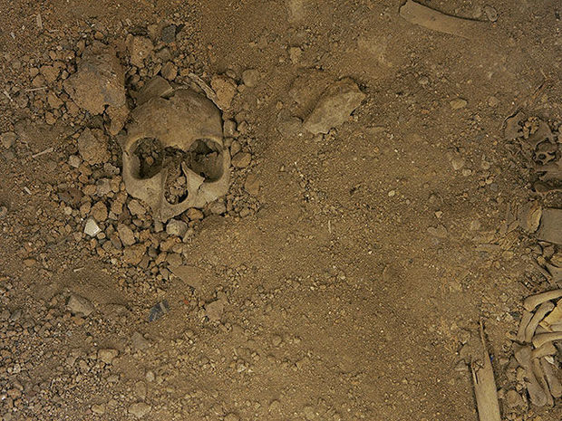 В Польше обнаружены останки монахинь, замученных советскими солдатами