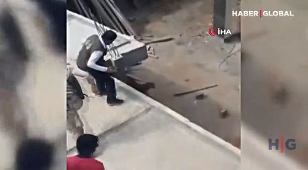 Hindistanda meşədən şəhərə gələn bəbir beş nəfəri yaraladı – VİDEO