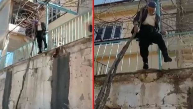 Budamaq istədiyi ağacdan asılı qaldı – VİDEO