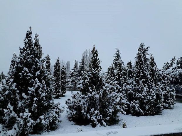 Прогноз погоды в Азербайджане на 13 марта