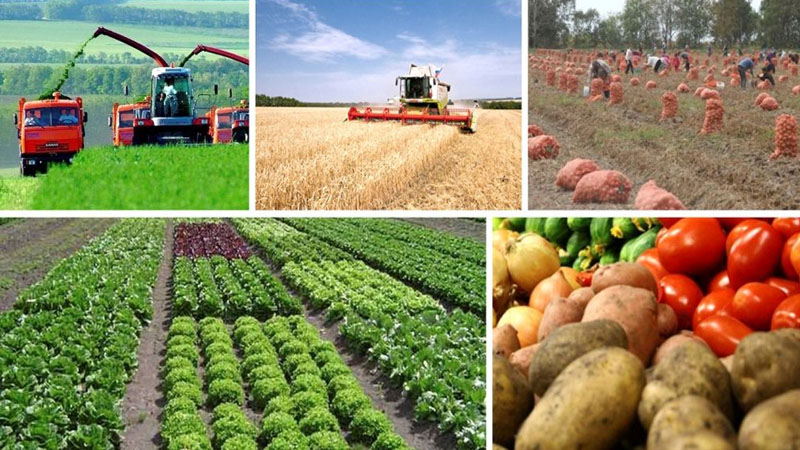 Türkiyə və Azərbaycan bu sahədə əməkdaşlığı genişləndirəcək